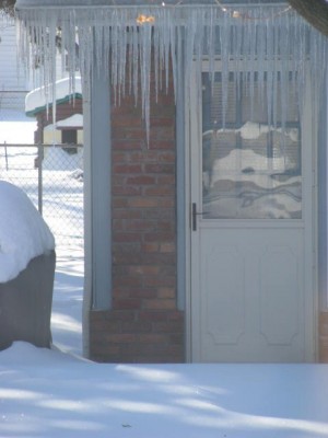 WinterFebruary2018 009.jpg