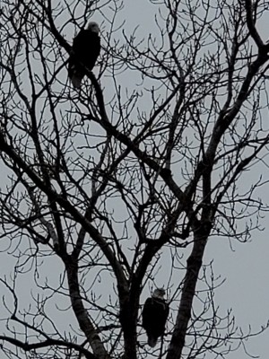 20210110_144005.jpg
