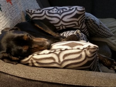 7FABE90A-A607-4B78-B765-7C477D301EB6.jpeg
