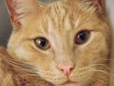 My BUBBIE.jpg