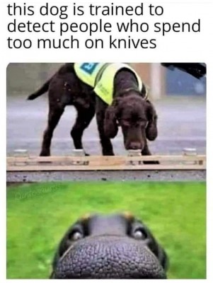 Dog knife detector..jpg