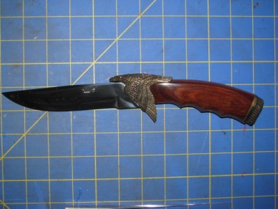 KershawEagle2019 001.jpg