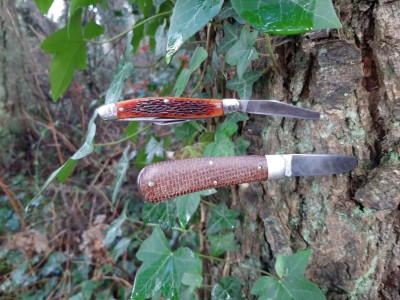 thumbnail_20210115_113815.jpg