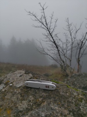 20210115_141514.jpg
