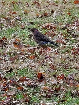 20210116_105417.jpg