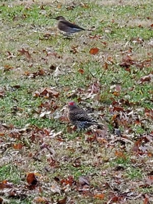 20210116_105437.jpg