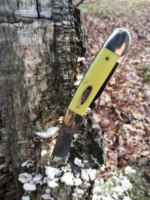 Ol' Yeller canoe on the trail.jpg