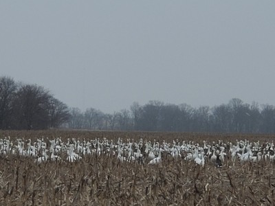 20210117_162404.jpg