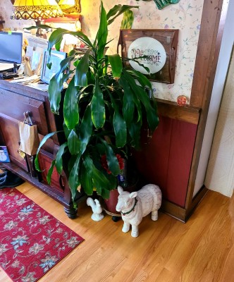 20210118_105302.jpg