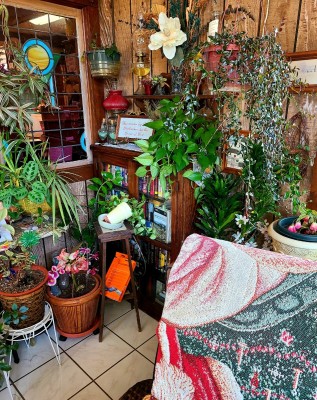 20210118_105229.jpg