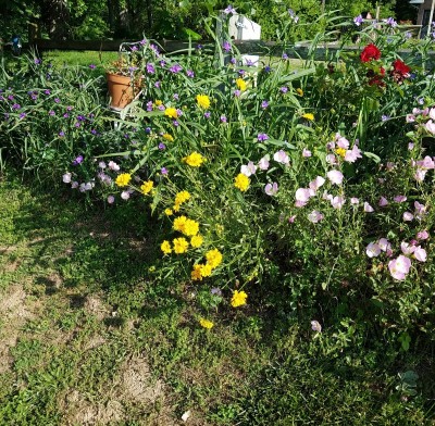 20170518_083805.jpg
