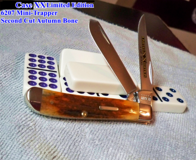 Case 2nd Cut Autum BN_a.png