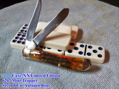Case 2nd Cut Autum BN_b.png