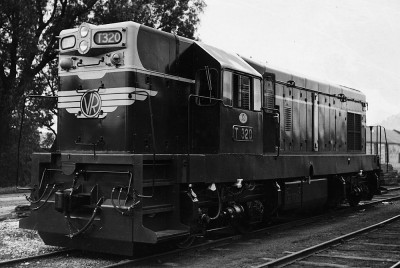 T 320 black and white..jpg