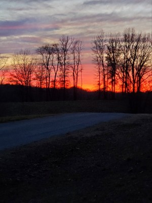 20210121_180115.jpg