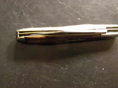 DSCN9250.JPG