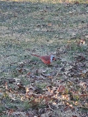 20210123_084036.jpg