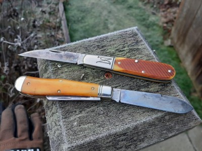 77 Barlow tan sawcut - 92 Eureka autumn gold