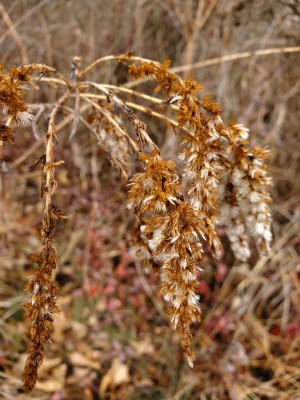 20210124_110331.jpg