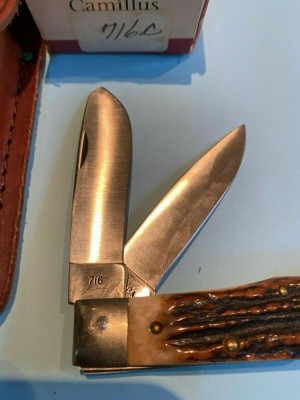 716 stag 2.jpg