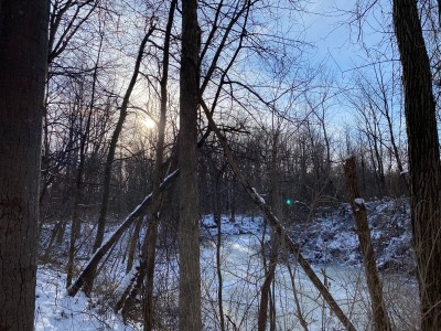 IMG_2298.JPG