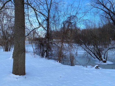 IMG_2304.JPG