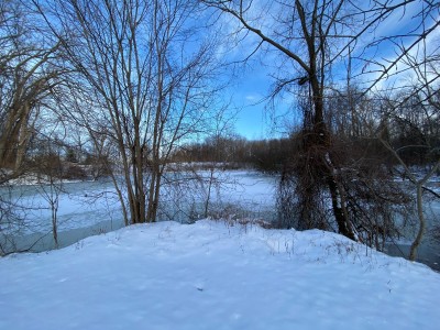 IMG_2306.JPG
