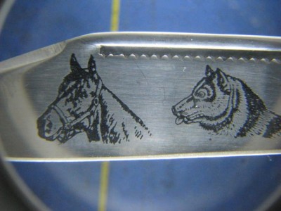 ParkerCustomSeriesHorse&DogGroomer 004.jpg