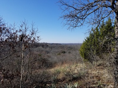 20210126_140215.jpg