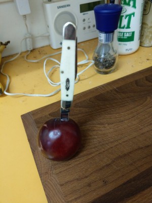 IMAG0432.jpg