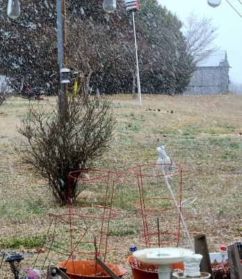 20210127_150408.jpg