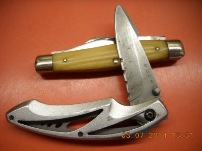 Taiwanese Buck that sometimes accompanies a faithful old # 49 Queen.