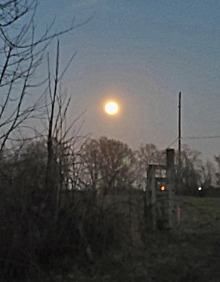 20210128_174302.jpg