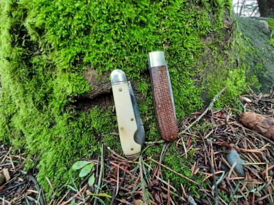 thumbnail_20210129_112631.jpg