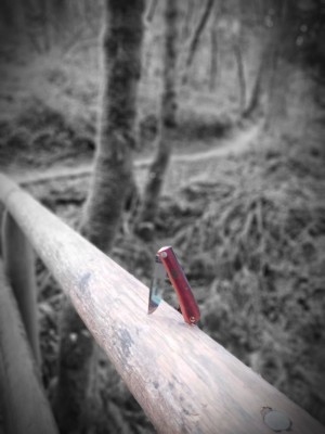 20210129_123809.jpg