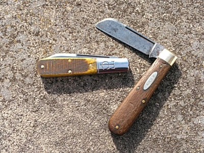 KIMG1492~2.JPG