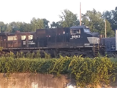 IMG_20190830_191646925.jpg