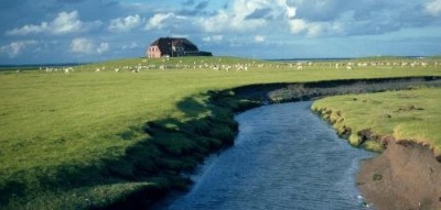 Tideway-Hallig-Nordstrandischmoor-Priel.jpg