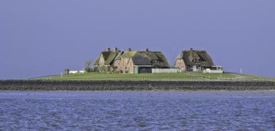 Westerwarft-auf-Hallig-Hooge-im-Sonnenlicht.jpg