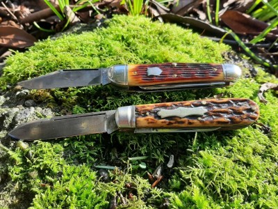 thumbnail_20210207_095351.jpg