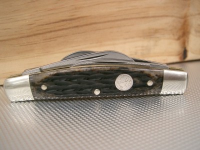 Appaloosa Bone
