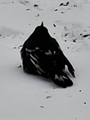 20210213_135438.jpg