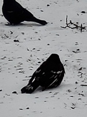 20210213_135051.jpg