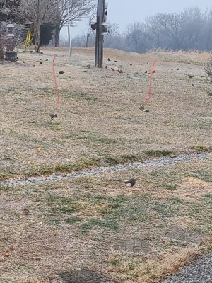 20210214_091031.jpg
