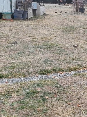 20210214_091020.jpg