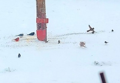 20210216_081835.jpg