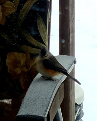 20210215_125153.jpg