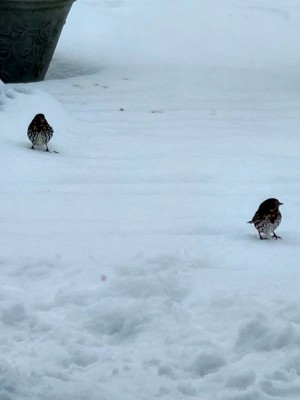 20210218_135931.jpg