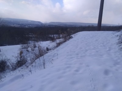 IMG_20210220_155837890.jpg