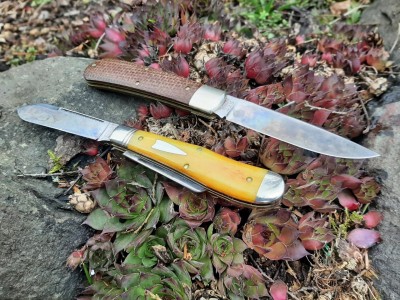 thumbnail_20210224_122902.jpg